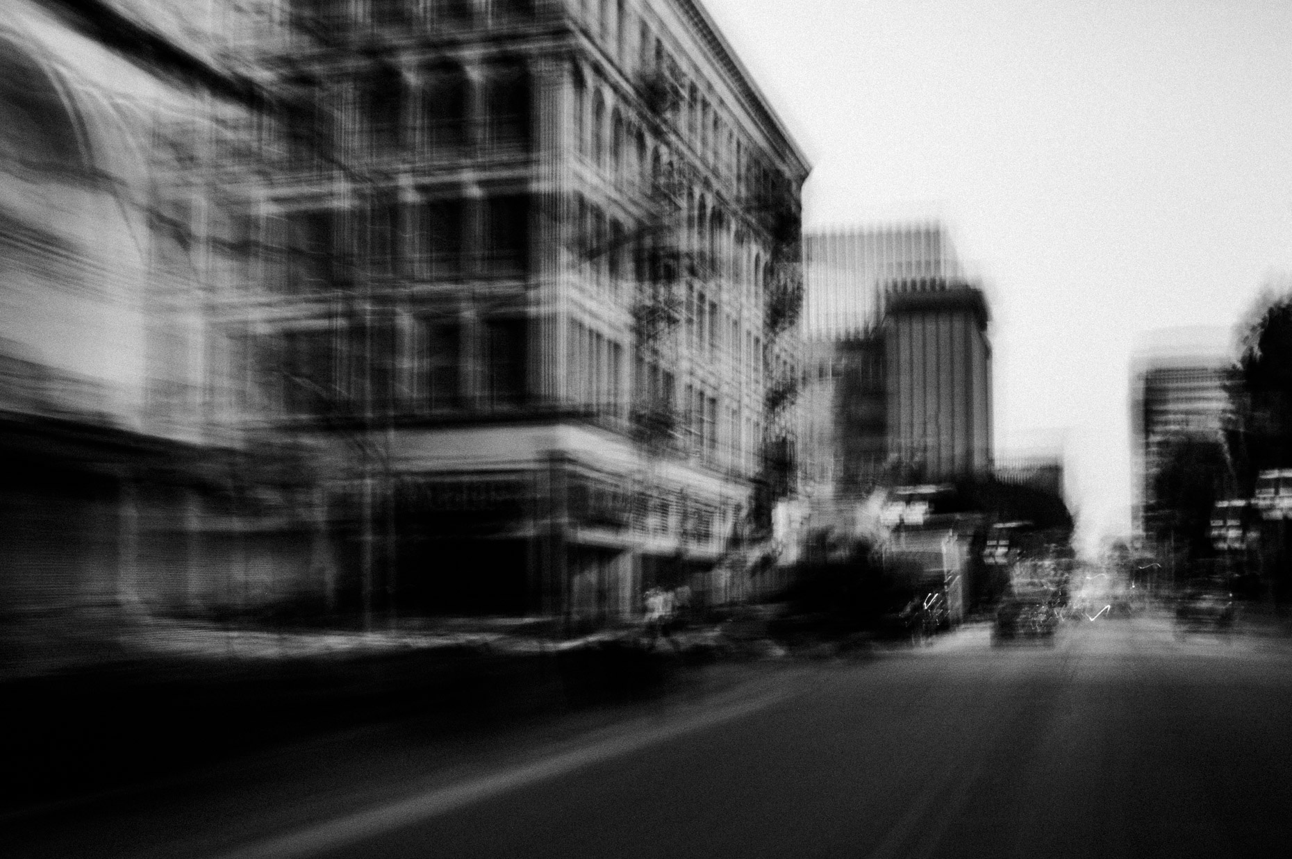 DSC_1559